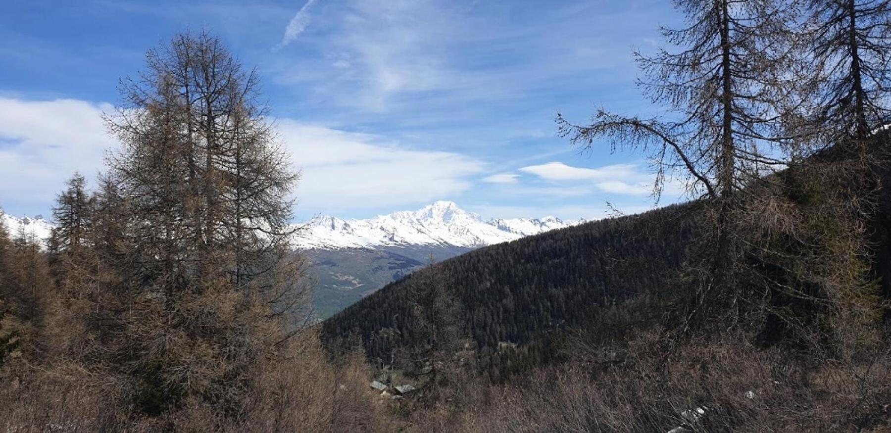 Residence Plagne Lauze - Maeva Home - Studio 2 Personnes - Selection Mae-9201 Macot-la-Plagne Zewnętrze zdjęcie